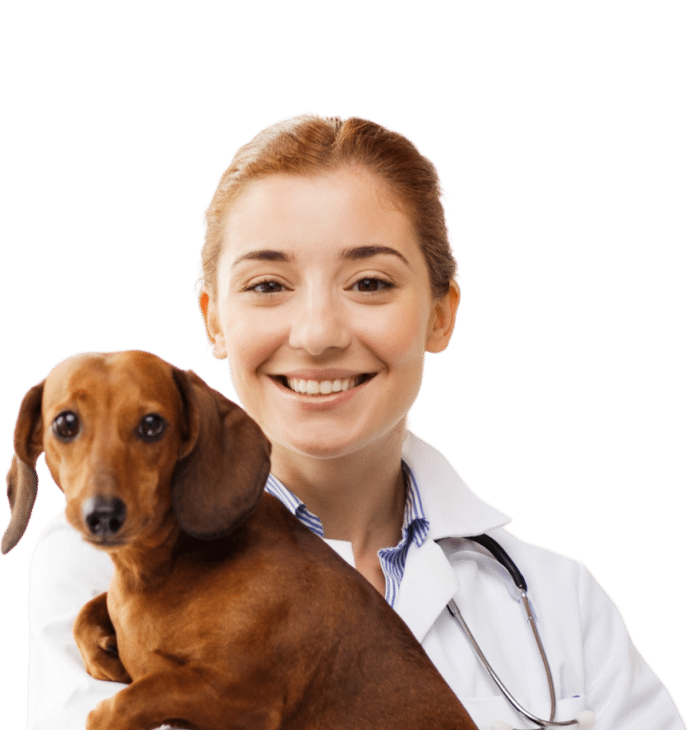 Veterinarian Accounting