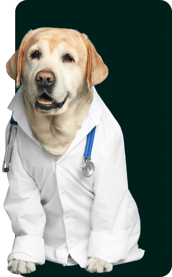 Veterinarian CPAs