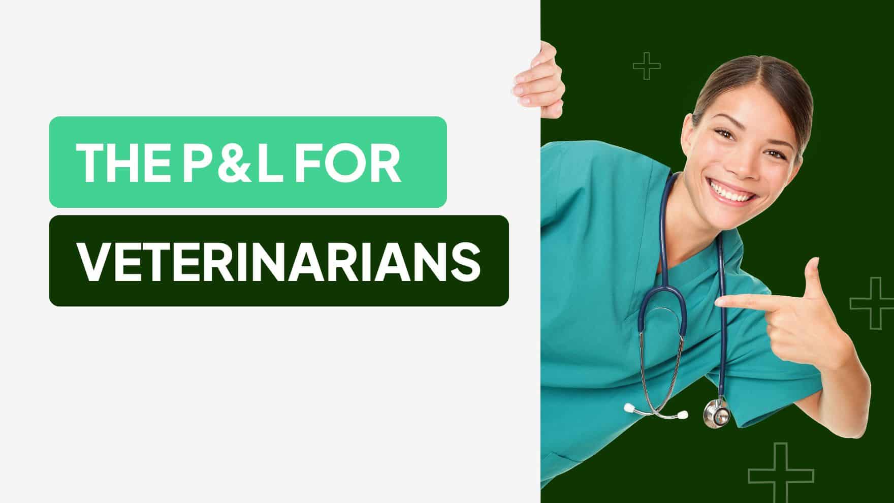 profit-and-loss-for-veterinarians